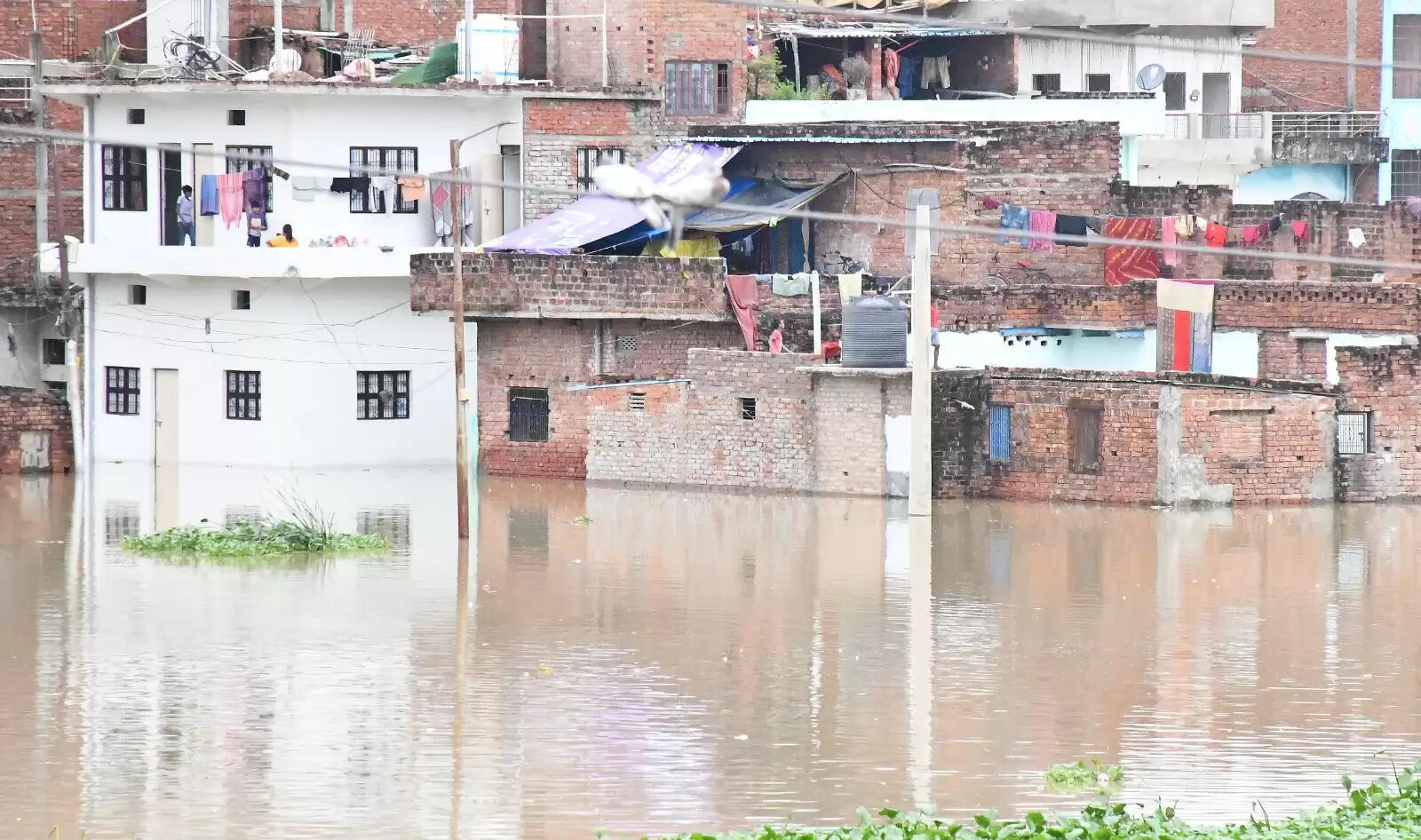 वाराणसी। पतितपावनी मां गंगा काशी में इस समय अपने रौद्र रूप में हैं। बनारस में गंगा का जलस्तर खतरे के निशान से ऊपर पहुंच चुका है। इसके चलते वरूणा भी उफान पर है। शहर के कई इलाके और गांव बाढ़ की चपेट में आ चुके हैं। सड़कें और गलियों में गाड़ी-मोटर की जगह नावें दौड़ रही हैं। वहीं हजारों लोग घर छोड़कर पलायन को विवश हो गए हैं। तस्वीरों में देखिये बनारस में बाढ़ के हालात.....।