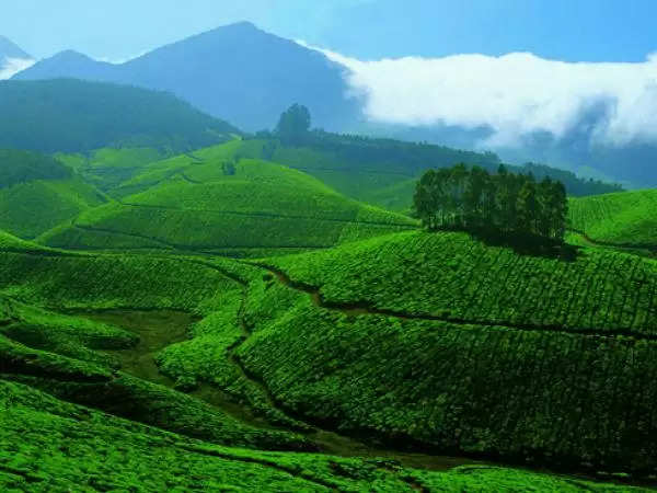 munnar