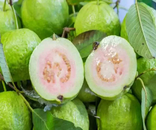 guava