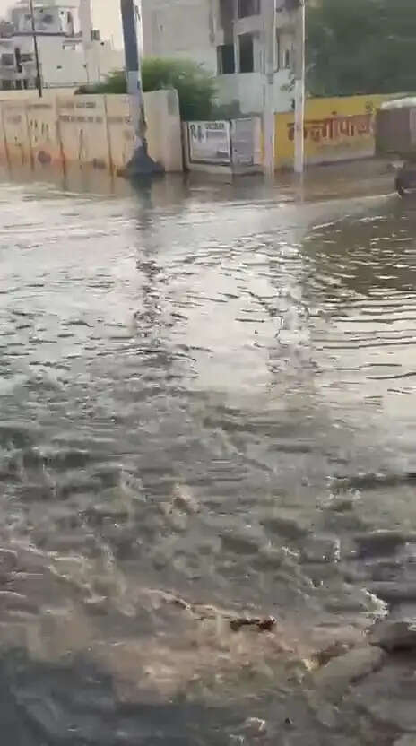 गंदगी और बदबू से लोग बेहाल