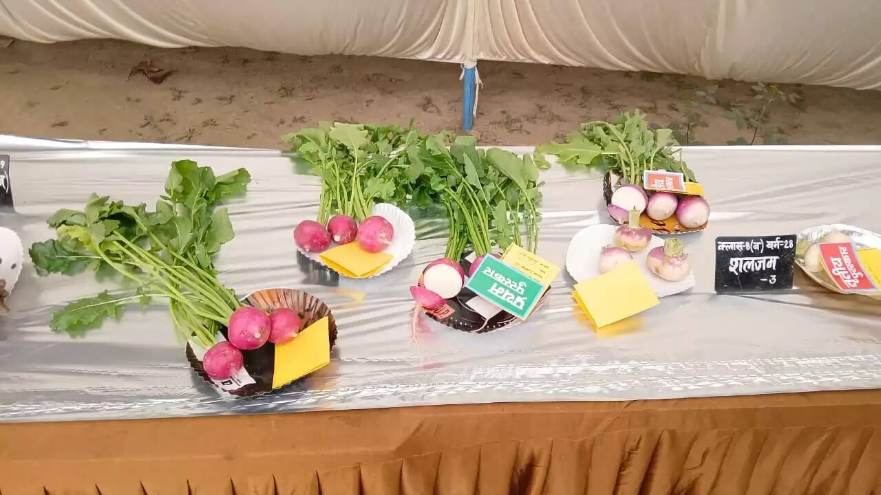  काशी हिंदू विश्वविद्यालय स्थित मालवीय भवन में गुरुवार को विश्वविद्यालय परिवार की ओर से महामना पंडित मदन मोहन मालवीय की जयंती के अवसर पर तीन दिवसीय भव्य पुष्प प्रदर्शनी का शुभारंभ हुआ। यह प्रदर्शनी न केवल बीएचयू की समृद्ध शैक्षणिक और सांस्कृतिक परंपरा को दर्शाती है, बल्कि विज्ञान, प्रकृति और आध्यात्मिकता के सुंदर समन्वय का भी जीवंत उदाहरण प्रस्तुत कर रही है।