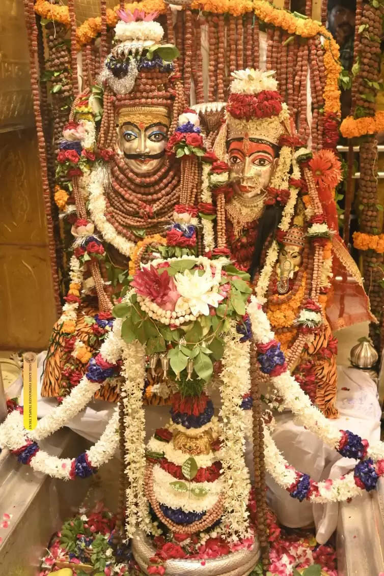 baba vishwanath darshan