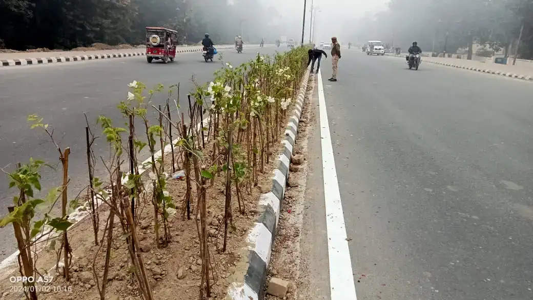 , पौधों व फूलों से योगी सरकार