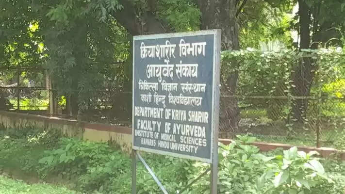 vns