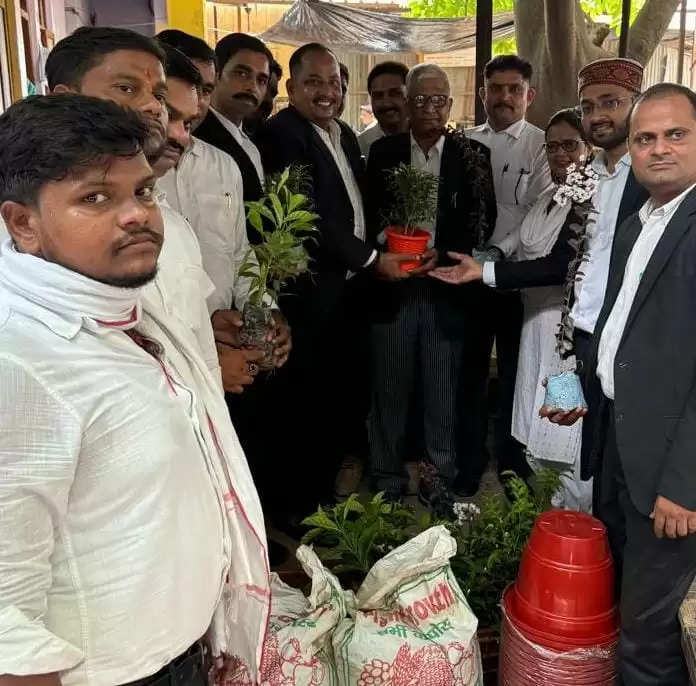 plantation by congress