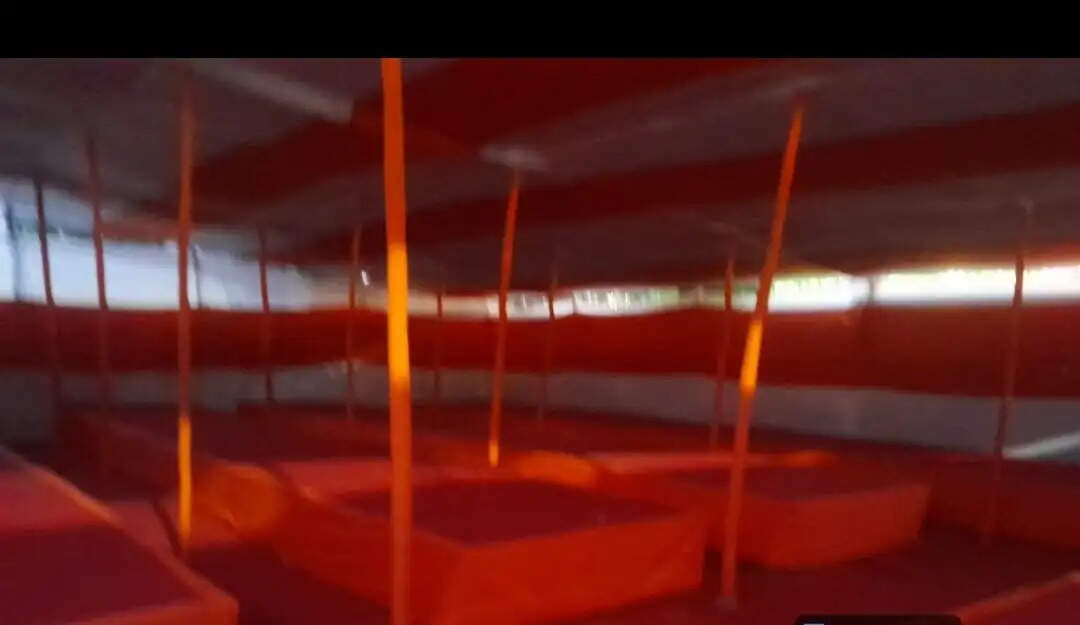 123