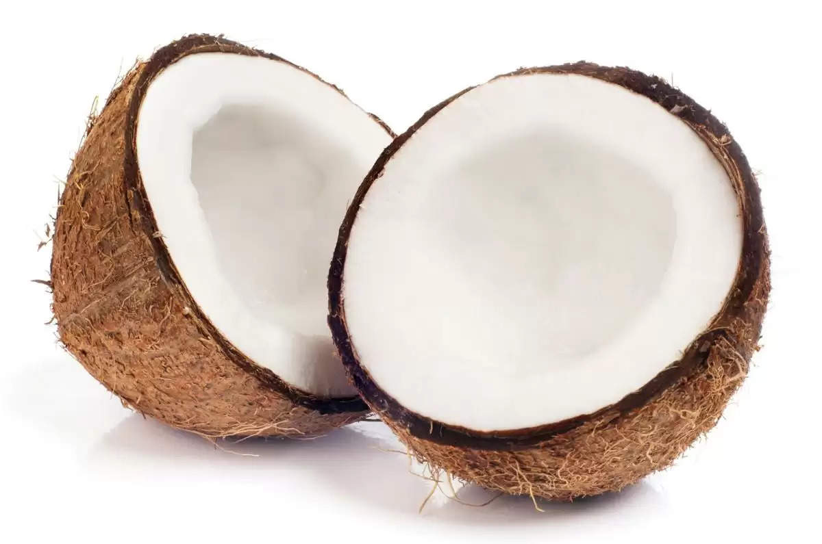 coconut