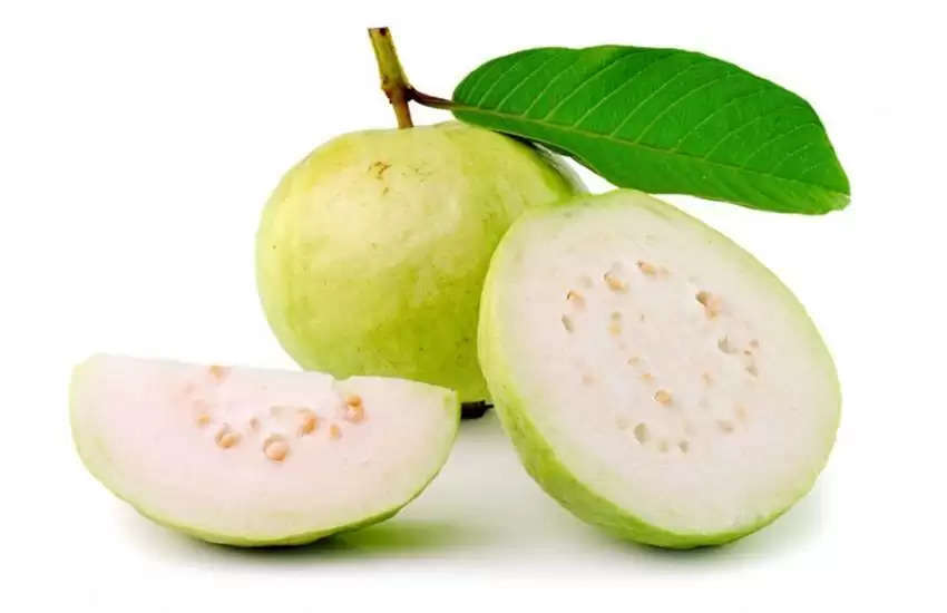 guava 