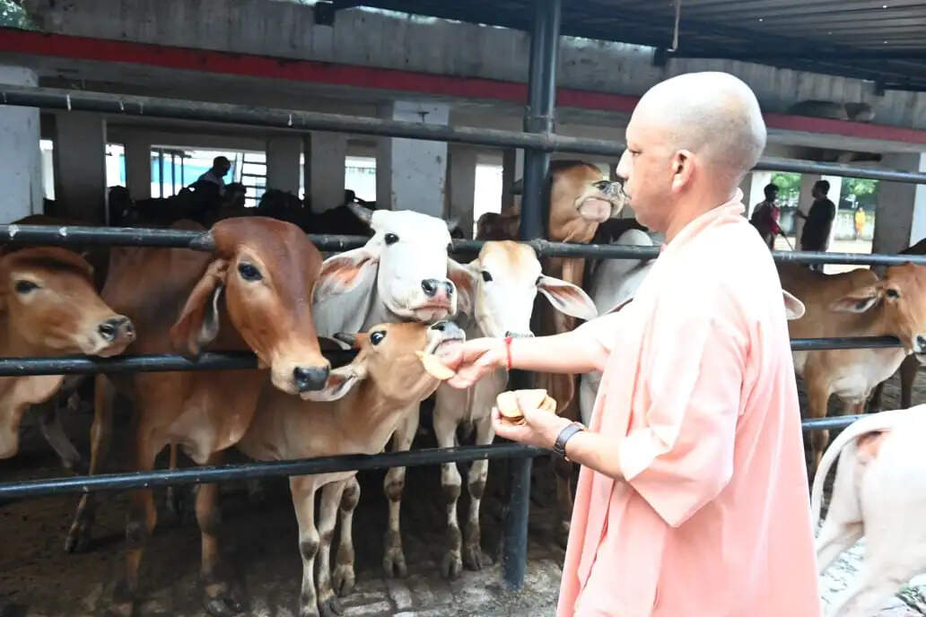 सबकी समस्या का समाधान सरकार की प्रतिबद्धता: मुख्यमंत्री