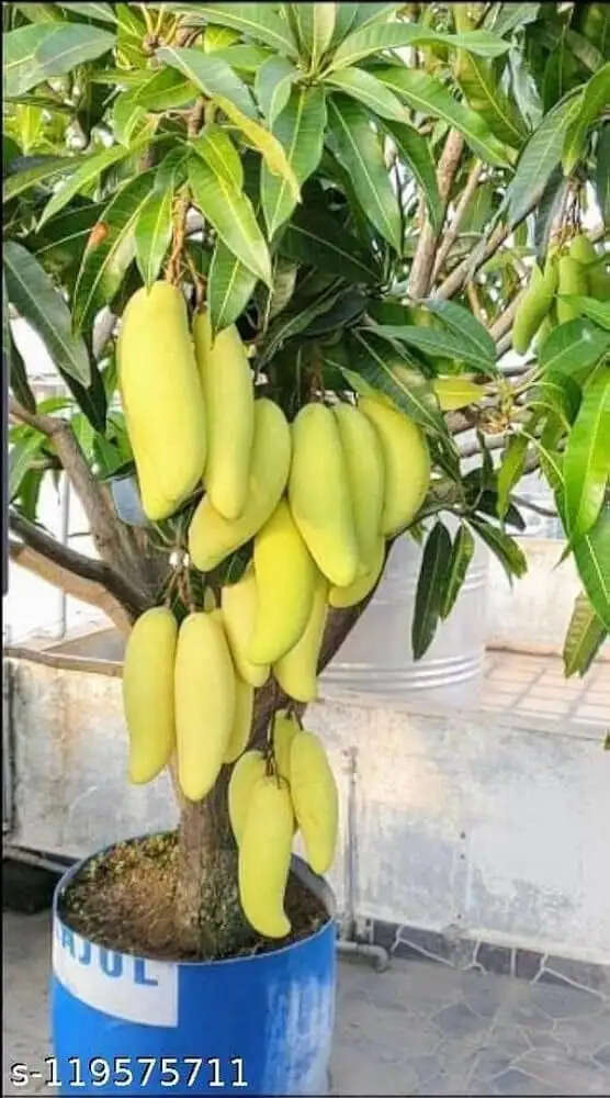 123