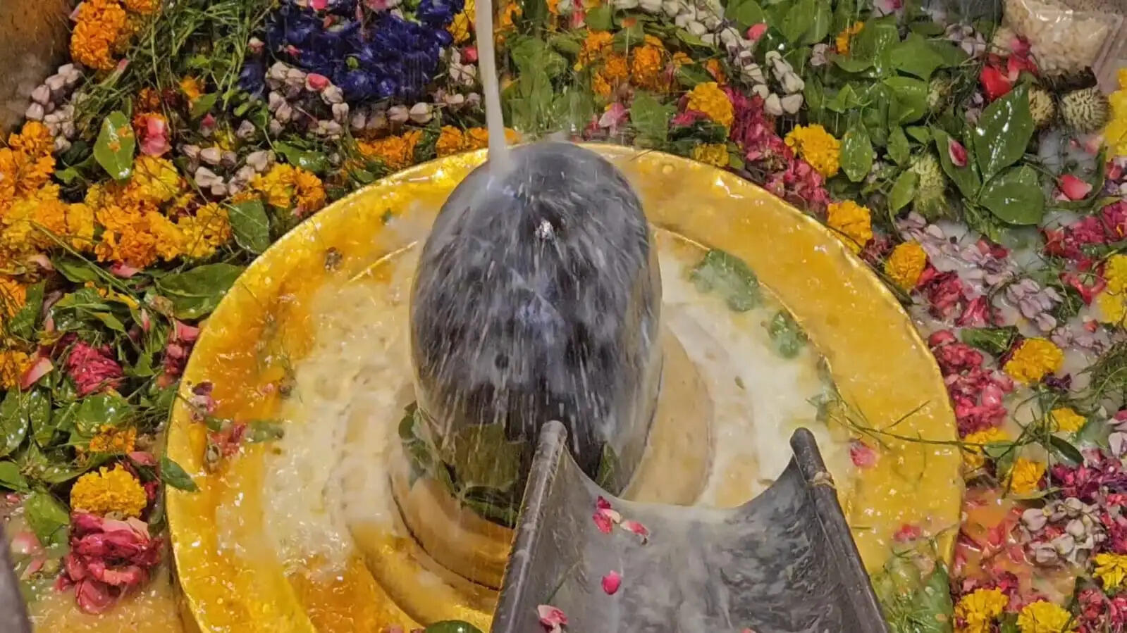 123
