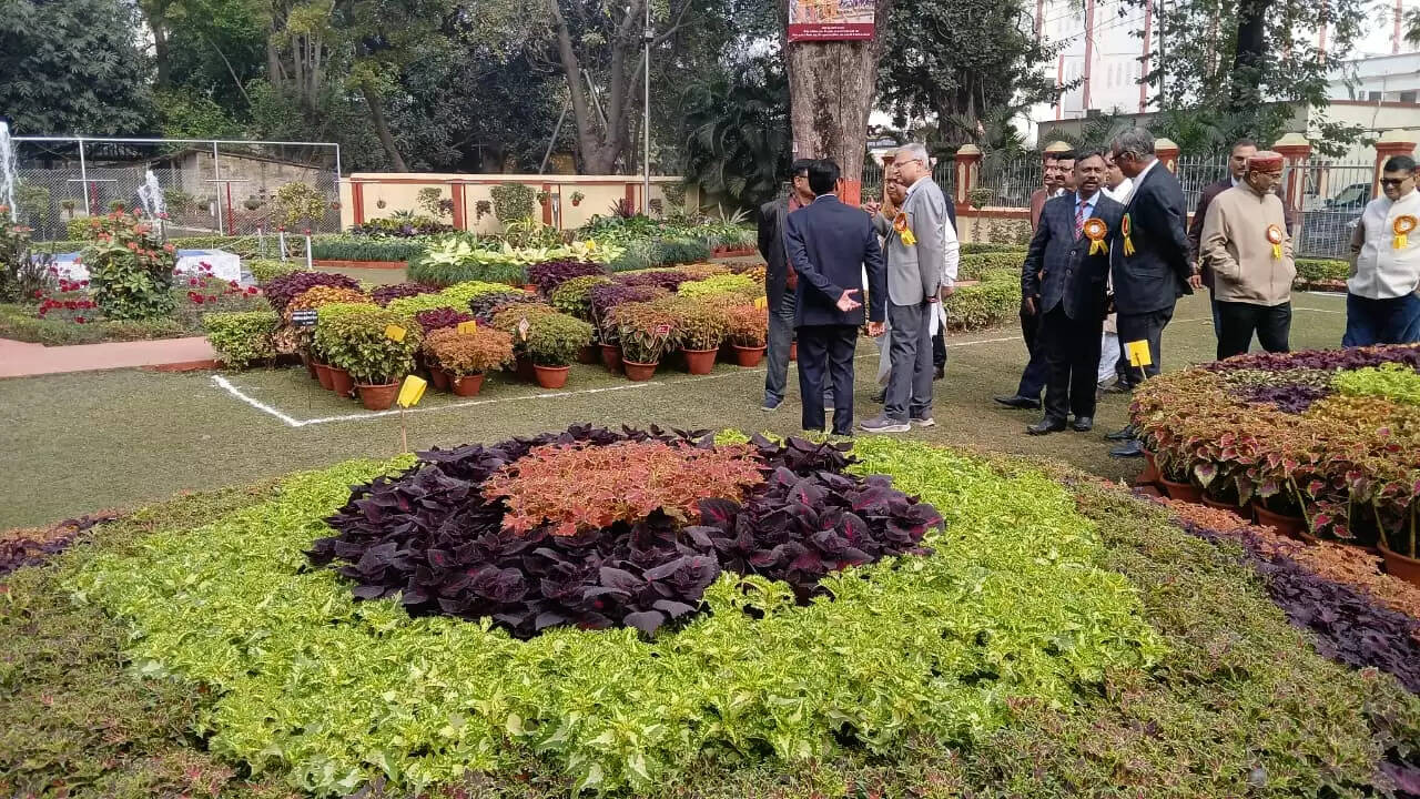  काशी हिंदू विश्वविद्यालय स्थित मालवीय भवन में गुरुवार को विश्वविद्यालय परिवार की ओर से महामना पंडित मदन मोहन मालवीय की जयंती के अवसर पर तीन दिवसीय भव्य पुष्प प्रदर्शनी का शुभारंभ हुआ। यह प्रदर्शनी न केवल बीएचयू की समृद्ध शैक्षणिक और सांस्कृतिक परंपरा को दर्शाती है, बल्कि विज्ञान, प्रकृति और आध्यात्मिकता के सुंदर समन्वय का भी जीवंत उदाहरण प्रस्तुत कर रही है।