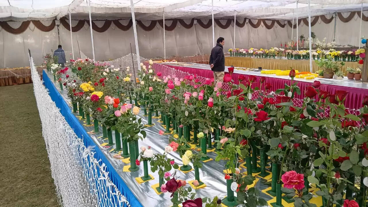  काशी हिंदू विश्वविद्यालय स्थित मालवीय भवन में गुरुवार को विश्वविद्यालय परिवार की ओर से महामना पंडित मदन मोहन मालवीय की जयंती के अवसर पर तीन दिवसीय भव्य पुष्प प्रदर्शनी का शुभारंभ हुआ। यह प्रदर्शनी न केवल बीएचयू की समृद्ध शैक्षणिक और सांस्कृतिक परंपरा को दर्शाती है, बल्कि विज्ञान, प्रकृति और आध्यात्मिकता के सुंदर समन्वय का भी जीवंत उदाहरण प्रस्तुत कर रही है।