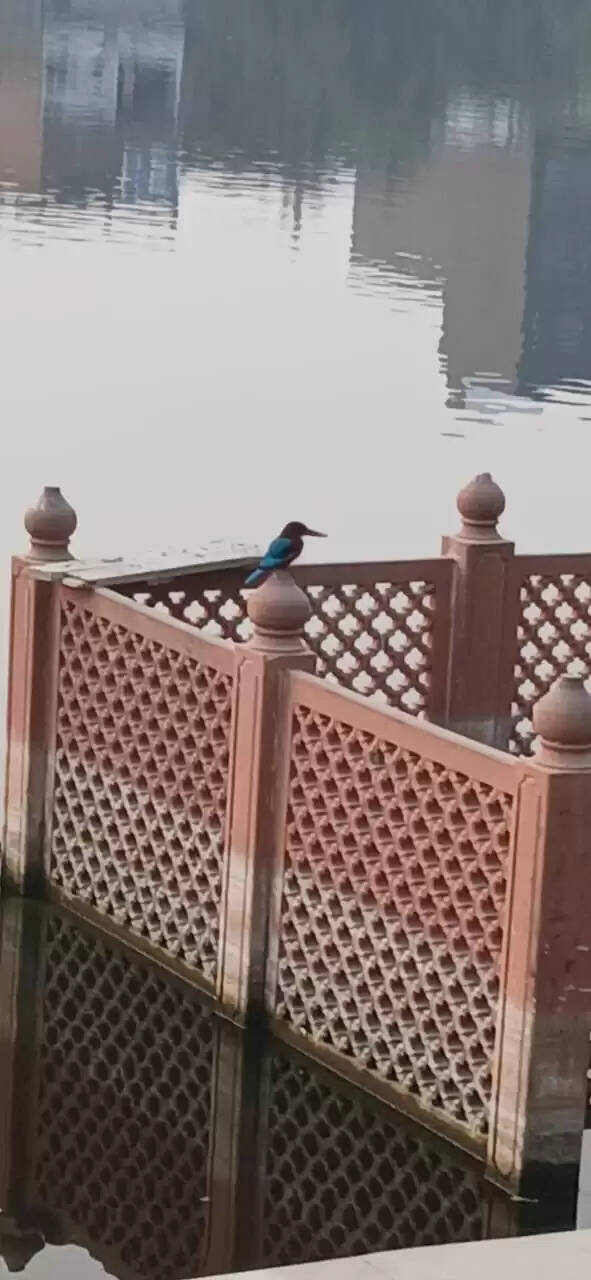 संत कबीर की प्राकट्य स्थली का ऐतिहासिक कायाकल्प, 500 वर्षों बाद गुलाबी पत्थरों से सजा लहरतारा, पीएम मोदी करेंगे लोकार्पण