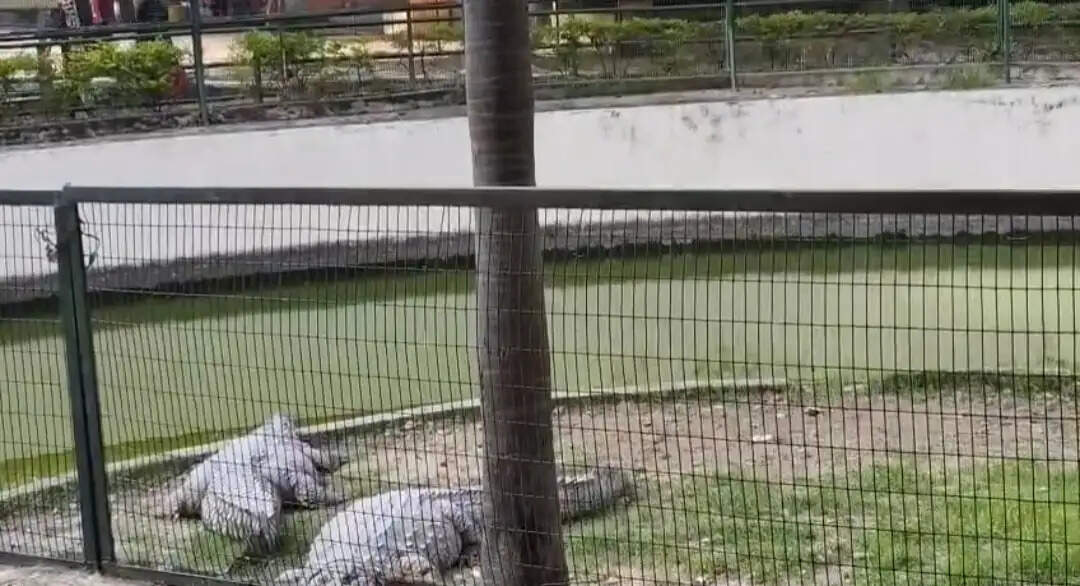 123
