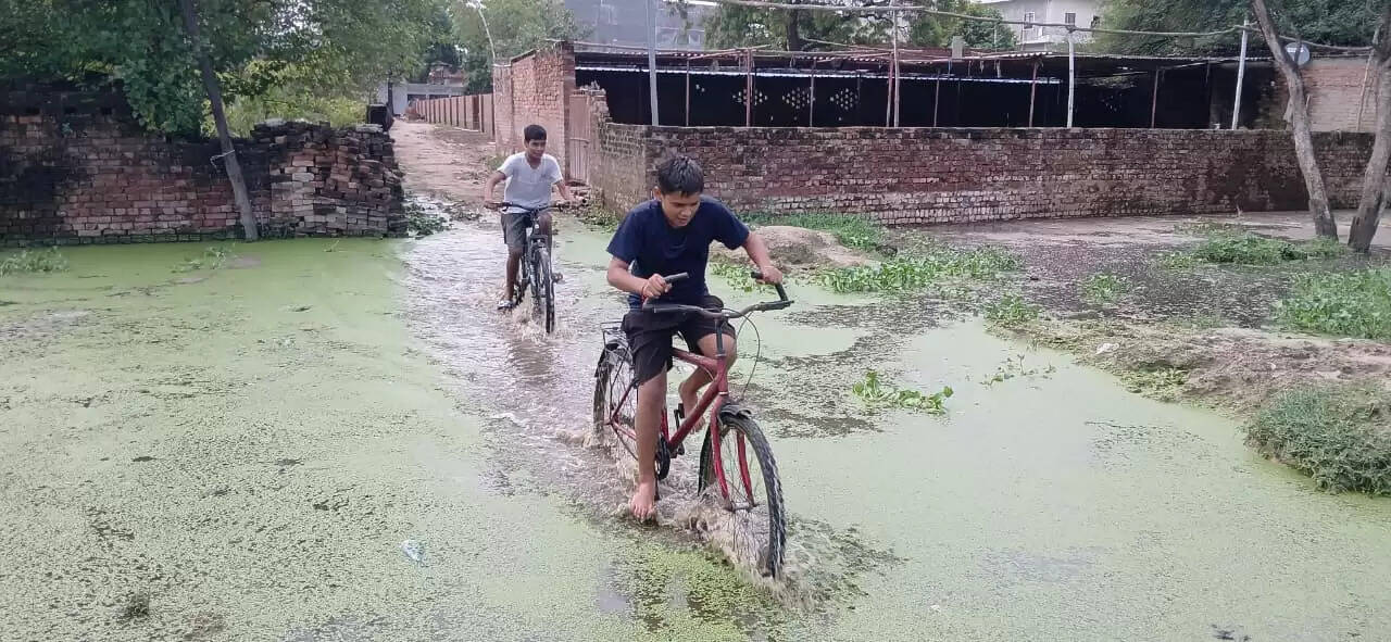 सीर गोवर्धनपुर में विकराल हुई सीवर समस्या, सपा कार्यकर्ताओं ने गंदे पानी में चलकर जताया विरोध