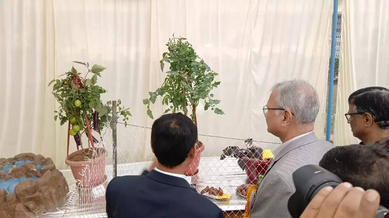  काशी हिंदू विश्वविद्यालय स्थित मालवीय भवन में गुरुवार को विश्वविद्यालय परिवार की ओर से महामना पंडित मदन मोहन मालवीय की जयंती के अवसर पर तीन दिवसीय भव्य पुष्प प्रदर्शनी का शुभारंभ हुआ। यह प्रदर्शनी न केवल बीएचयू की समृद्ध शैक्षणिक और सांस्कृतिक परंपरा को दर्शाती है, बल्कि विज्ञान, प्रकृति और आध्यात्मिकता के सुंदर समन्वय का भी जीवंत उदाहरण प्रस्तुत कर रही है।