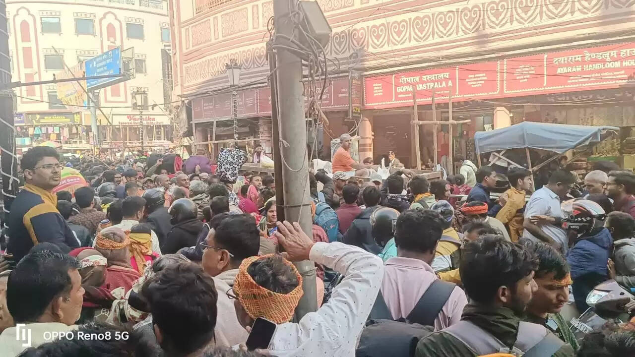 kashi crowd
