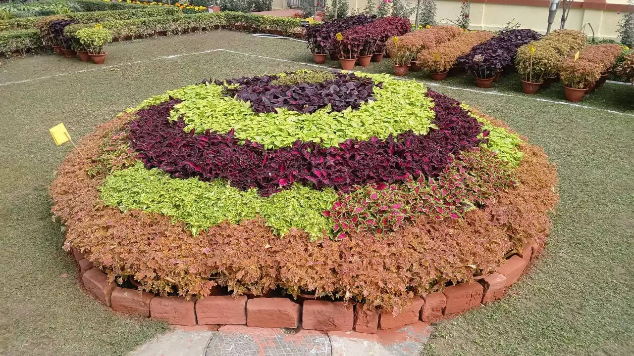  काशी हिंदू विश्वविद्यालय स्थित मालवीय भवन में गुरुवार को विश्वविद्यालय परिवार की ओर से महामना पंडित मदन मोहन मालवीय की जयंती के अवसर पर तीन दिवसीय भव्य पुष्प प्रदर्शनी का शुभारंभ हुआ। यह प्रदर्शनी न केवल बीएचयू की समृद्ध शैक्षणिक और सांस्कृतिक परंपरा को दर्शाती है, बल्कि विज्ञान, प्रकृति और आध्यात्मिकता के सुंदर समन्वय का भी जीवंत उदाहरण प्रस्तुत कर रही है। काशी हिंदू विश्वविद्यालय स्थित मालवीय भवन में गुरुवार को विश्वविद्यालय परिवार की ओर से महामना पंडित मदन मोहन मालवीय की जयंती के अवसर पर तीन दिवसीय भव्य पुष्प प्रदर्शनी का शुभारंभ हुआ। यह प्रदर्शनी न केवल बीएचयू की समृद्ध शैक्षणिक और सांस्कृतिक परंपरा को दर्शाती है, बल्कि विज्ञान, प्रकृति और आध्यात्मिकता के सुंदर समन्वय का भी जीवंत उदाहरण प्रस्तुत कर रही है।