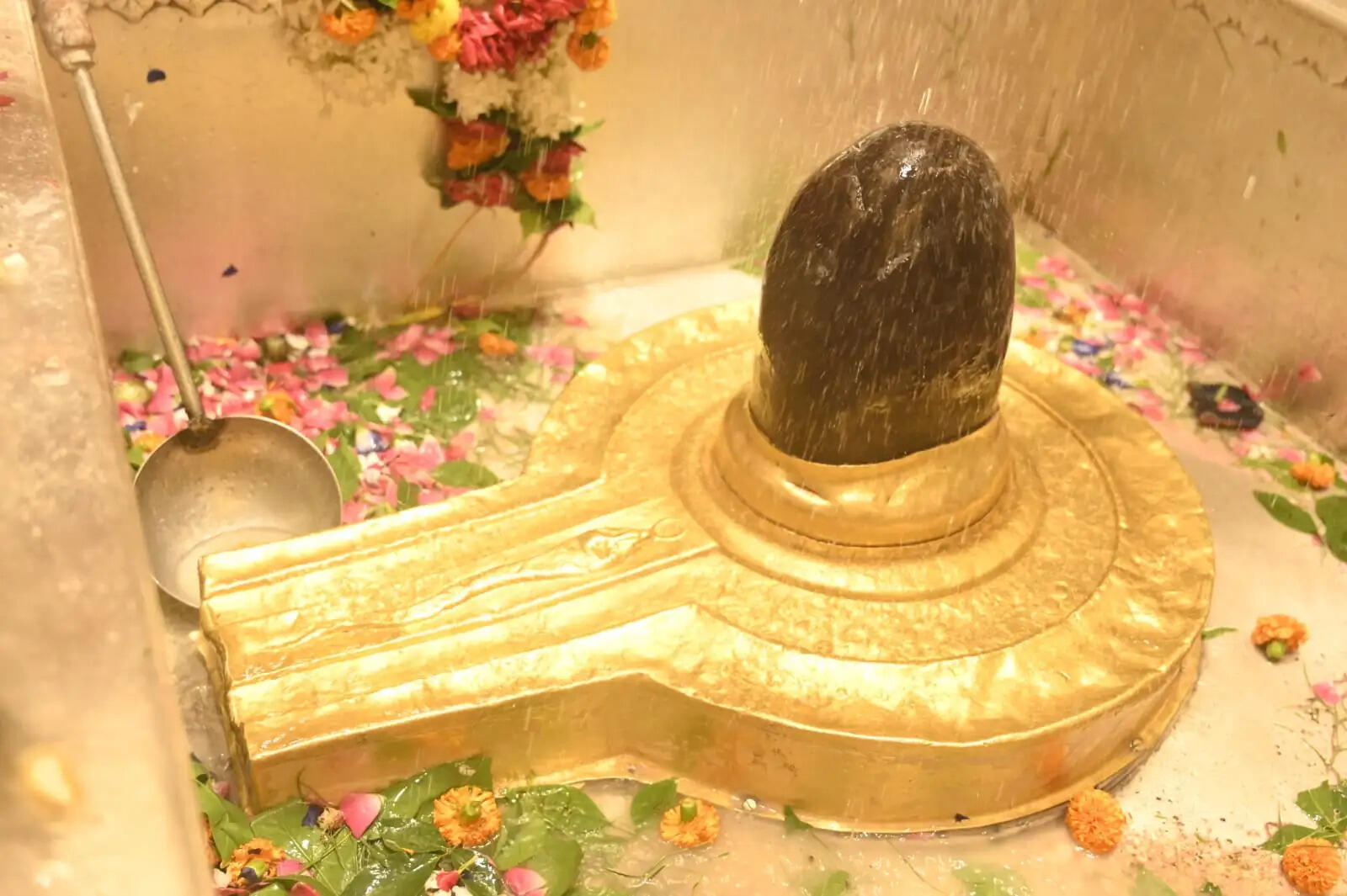 काशी विश्वनाथ मंदिर में महाकुंभ 2025: विशेष आरती व पूजा की समय-सारणी जारी