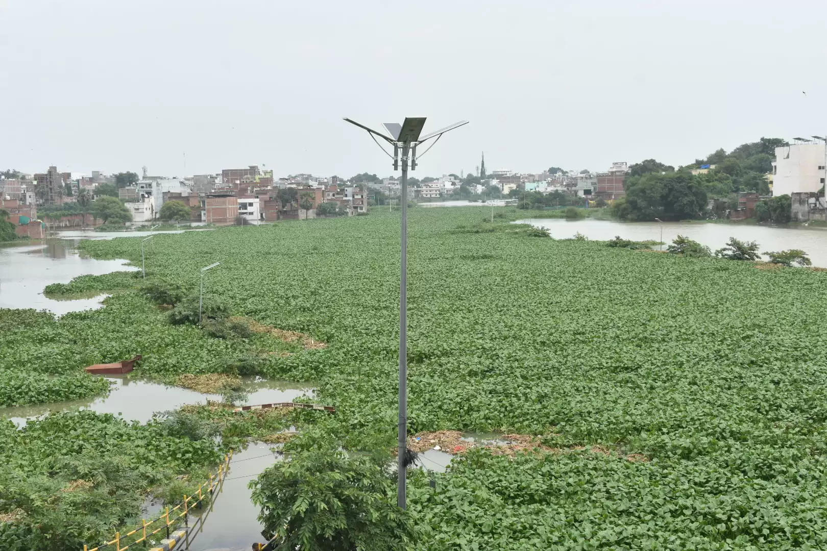 गंगा के साथ ही वरूणा में भी उफान, आसपास के मोहल्ले जलमग्न, लोग पलायन को मजबूर, तस्वीरों के देखिये हालात 