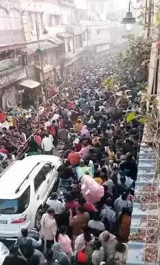 kashi crowd