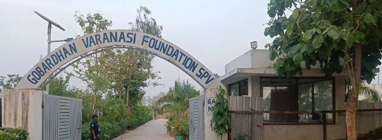 योगी सरकार के नेतृत्व में संचालित गोवर्धन योजना किसानों के लिए आय का सशक्त स्रोत बनकर उभर रही है। यह योजना न केवल किसानों की आर्थिक स्थिति को सुदृढ़ कर रही है, बल्कि जैविक खेती और पर्यावरण संरक्षण को भी बढ़ावा दे रही है। यह पहल कार्बन उत्सर्जन को कम कर पर्यावरण की सुरक्षा एवं सतत विकास को बढ़ावा दे रही है।