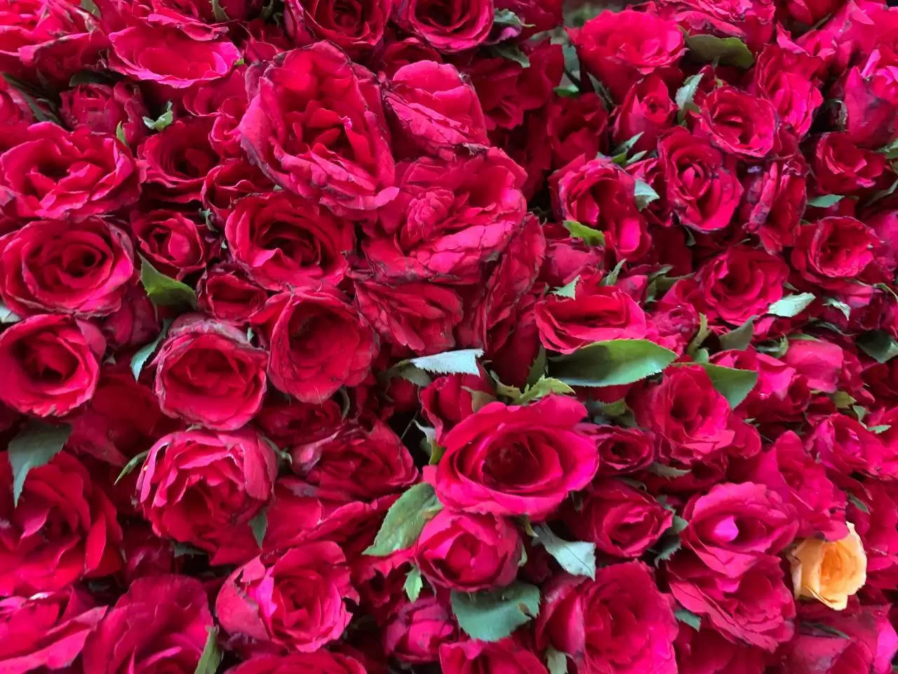 flower market in varanasi