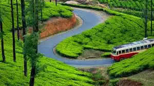 munnar