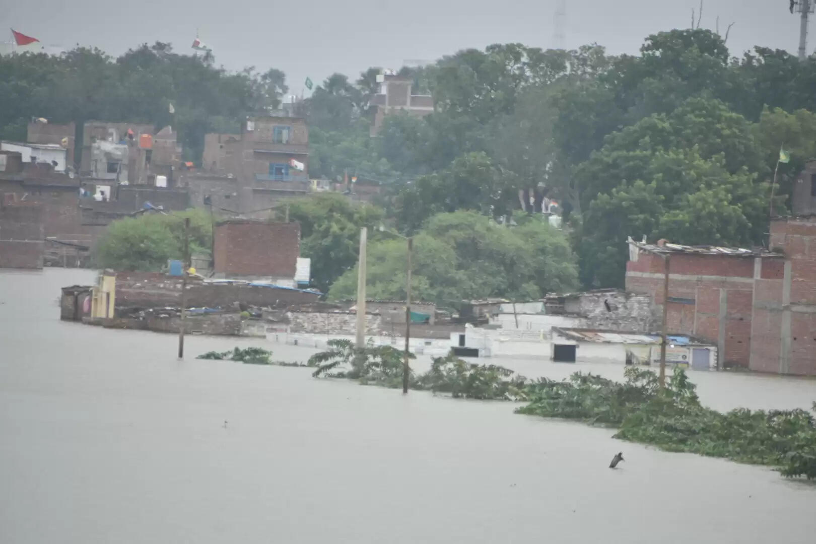   गंगा के साथ ही वरूणा में भी उफान, आसपास के मोहल्ले जलमग्न, लोग पलायन को मजबूर, तस्वीरों के देखिये हालात 